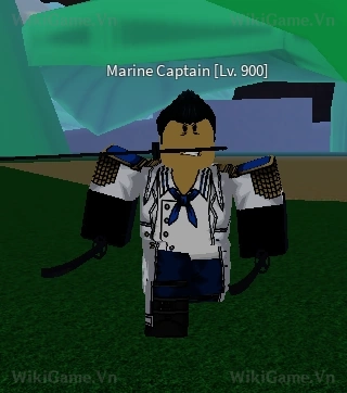 Marine Captain