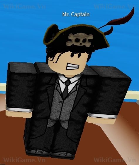 Mr. Captain