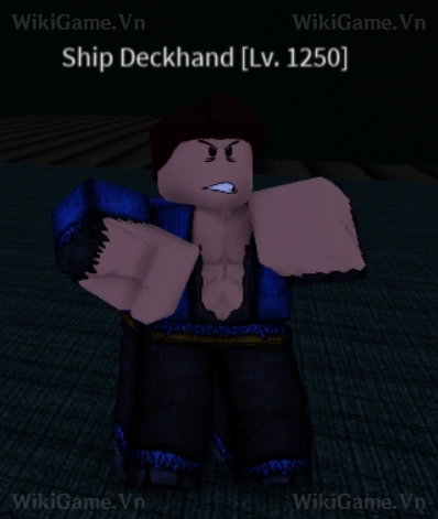 Ship Deckhand