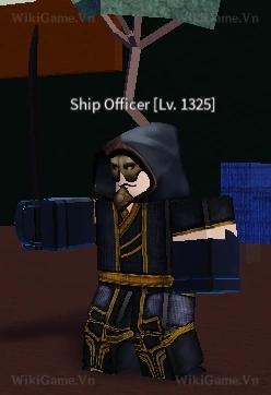 Ship Officer