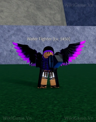 Water Fighter