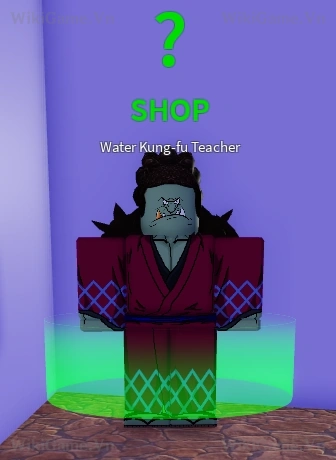 Water Kung Fu Teacher