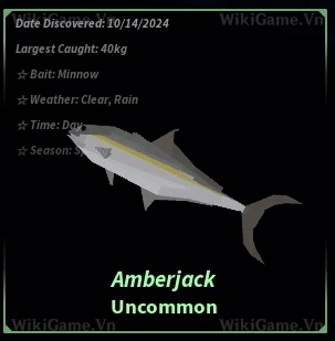 Amberjack