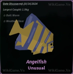 Icon Angelfish