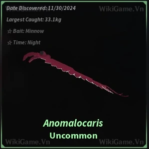 Anomalocaris