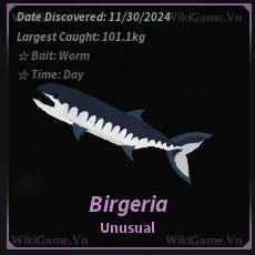 Birgeria