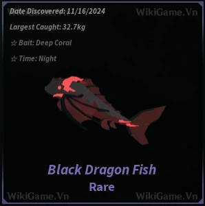 Black Dragon Fish