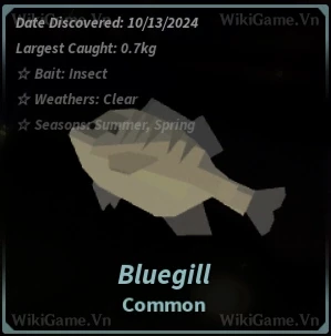 Ảnh  Bestiary Bluegill