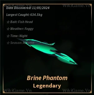 Brine Phantom