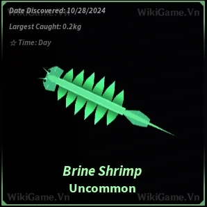 Brine Shrimp