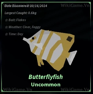 Butterflyfish