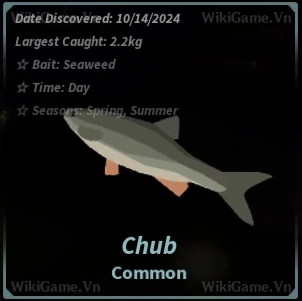 Ảnh  Bestiary Chub