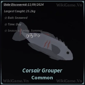 Ảnh  Bestiary Corsair Grouper