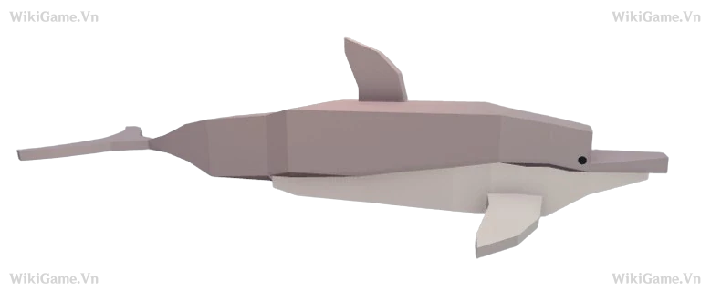 Dolphin