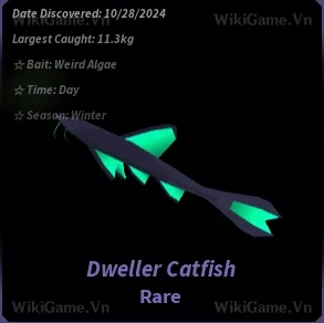 Dweller Catfish