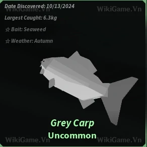 Icon Grey Carp