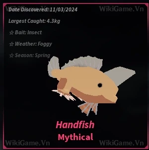 Handfish