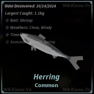 Ảnh  Bestiary Herring