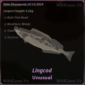 Lingcod