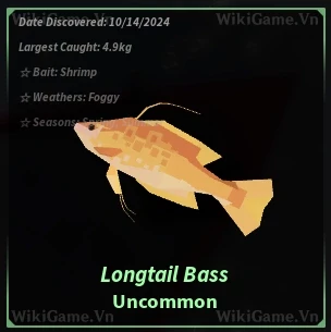 Longtail Bass