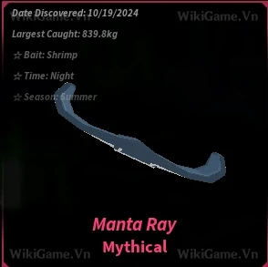 Manta Ray