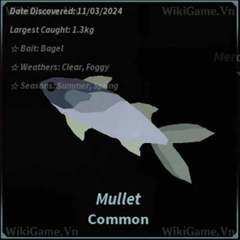 Ảnh  Bestiary Mullet