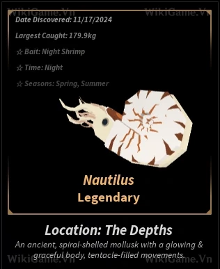 Nautilus