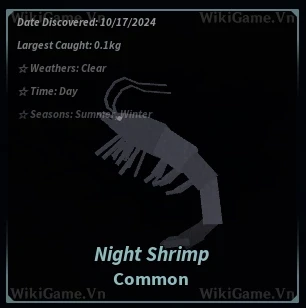 Ảnh  Bestiary Night Shrimp