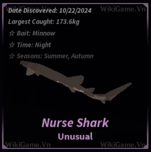 Nurse Shark