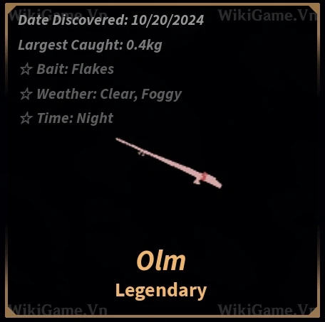 Olm