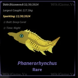 Phanerorhynchus