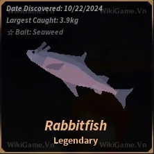 Rabbitfish