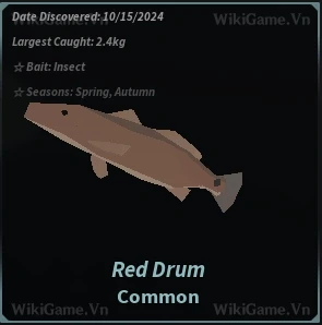 Ảnh  Bestiary Red Drum