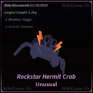 Rockstar Hermit Crab