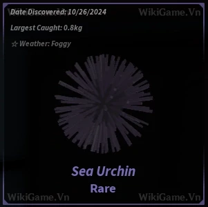 Sea Urchin