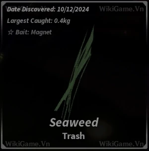 Ảnh  Bestiary Seaweed