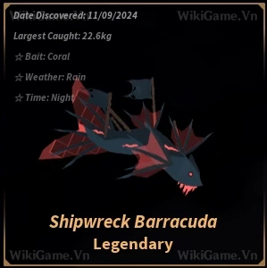 Shipwreck Barracuda