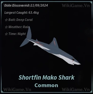 Ảnh  Bestiary Shortfin Mako Shark