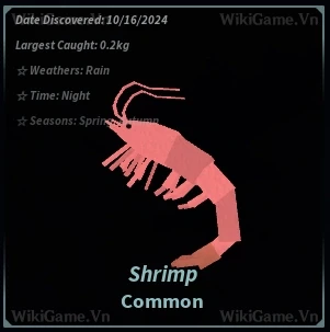 Ảnh  Bestiary Shrimp (Fish)