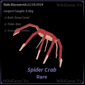 Icon Spider Crab