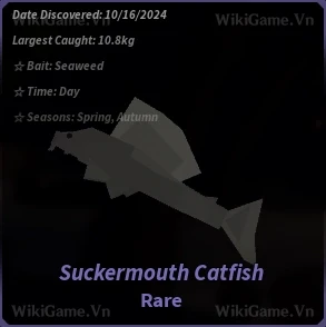 Suckermouth Catfish