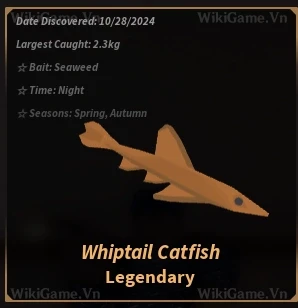 Whiptail Catfish