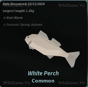 Ảnh  Bestiary White Perch