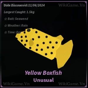 Yellow Boxfish