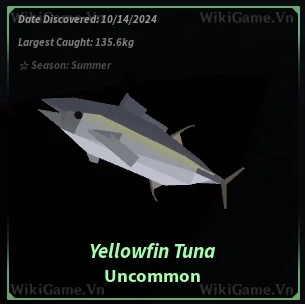 Icon Yellowfin Tuna