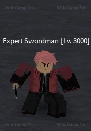 Expert Swordsman